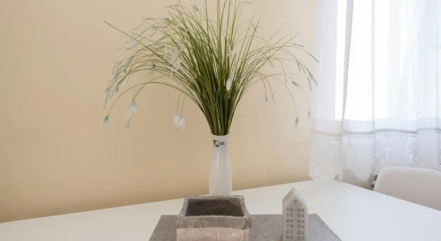 Апартаменты c 1 комнатой Apartments Julijana