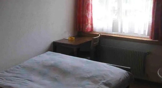 Одноместный номер Hotel-Restaurant Stechelberg Bed & Breakfast