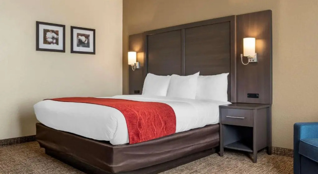 Номер Standard Comfort Inn & Suites Millbrook-Prattville