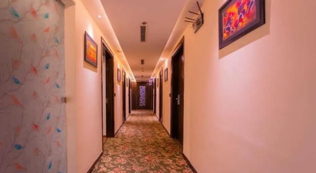 Двухместный номер Royal Hotel Aditya Park Regent
