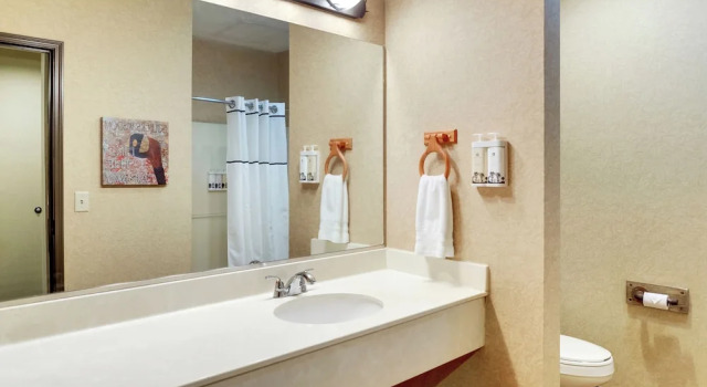 Двухместный номер Standard Stoney Creek Hotel La Crosse - Onalaska