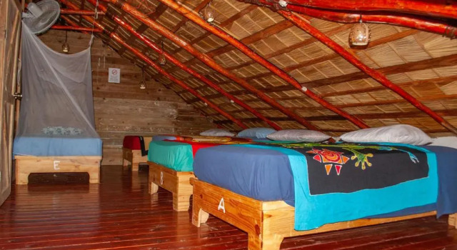 Кровать в общем номере (женский номер) Hostel La Ballena Backpacker