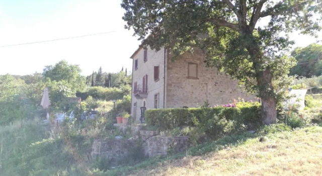 I Castagnini