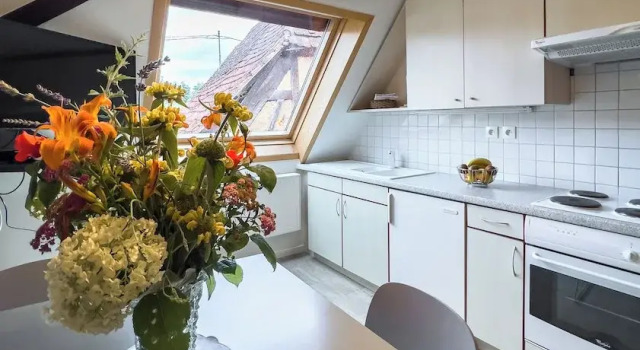 Люкс Comfort Gîtes et chambres dhôtes Maison Ungerer
