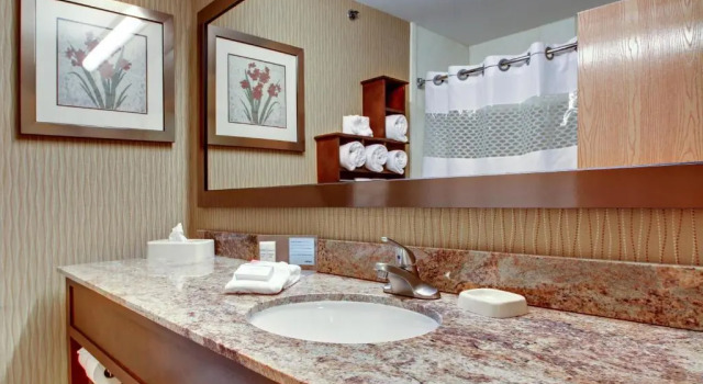 Четырёхместный номер Deluxe Hampton Inn Ottawa - Starved Rock Area