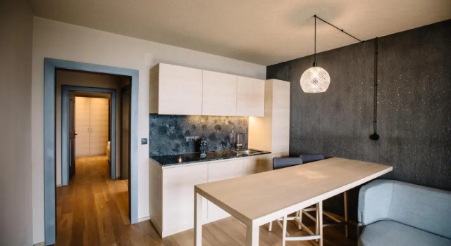 Апартаменты Standard Panoramic Suites Winzerhöhe