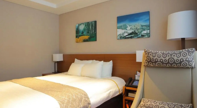 Двухместный номер Deluxe Yongpyong Resort