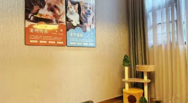Suite dupleks Tomeet Hotel
