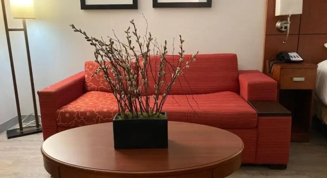Номер Standard The Hotel Orange