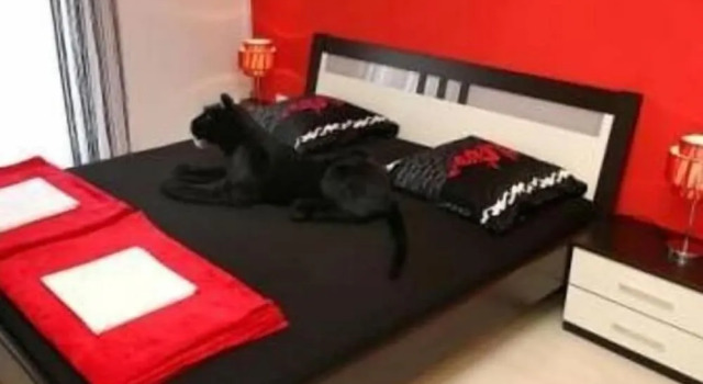 Logos Guesthouse
