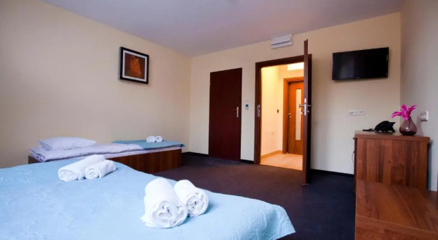 Трёхместный номер Standard Aparthotel W Pałacu