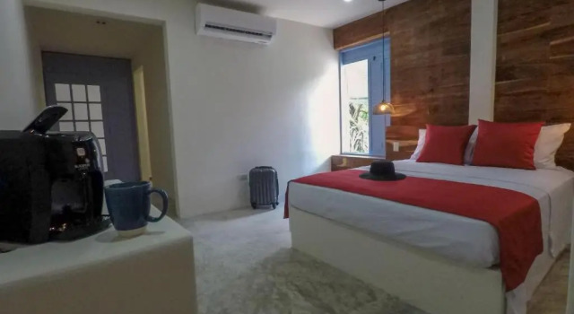Одноместный полулюкс Цокольный этаж Hotel Villa Balu