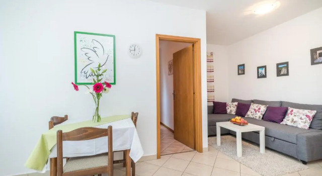 Апартаменты Apartments Vojin