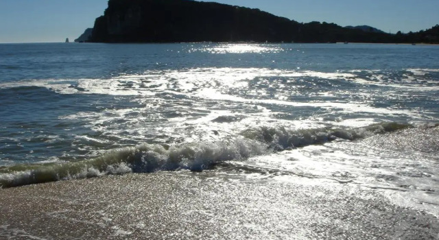 Flaxmill Bay Motel Unit 3 - Flaxmill Bay, Rezerwuj Motel Whitianga 