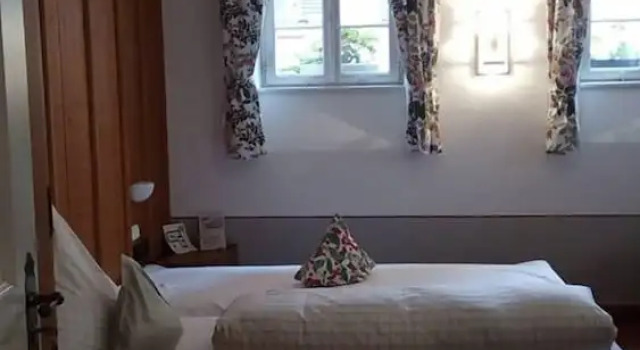 Одноместный номер Hotel Weisses Ross