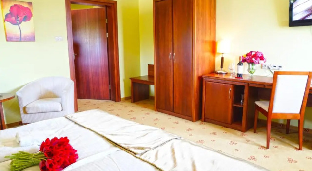 Номер Superior Hotel Rycerski