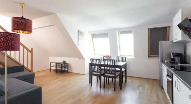 Апартаменты Penthouse bei Schönbrunn mit Dachterasse! N44