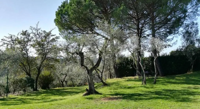 Апартаменты с 2 комнатами Tenuta San Vito In Fior Di Selva
