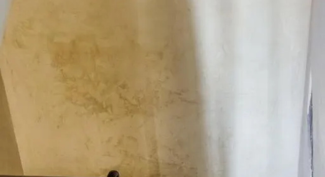 Suite Porta Borsari