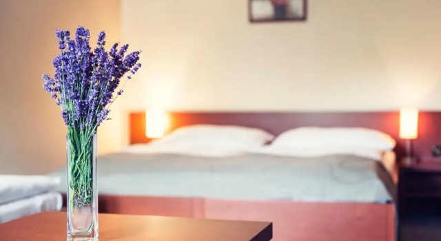 Номер Standard Hotel SKANZEN