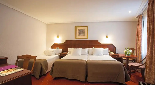 Номер Standard Hotel Zentral Ramiro I Oviedo