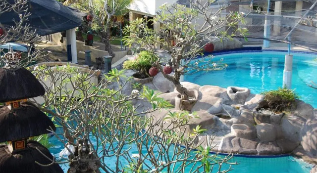 Люкс с видом на бассейн Dolphin Hotel Bali