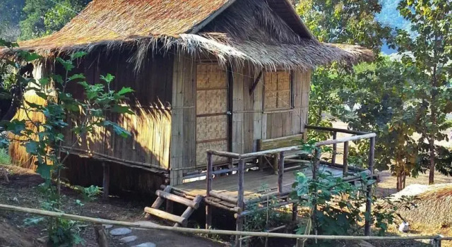Dee House Homestay