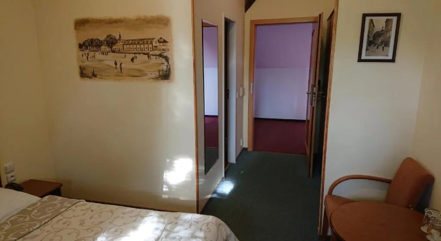 Camera doppia Economy Hotel Čertousy