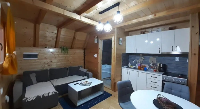 Коттедж Lux Brvnara Vilenjak