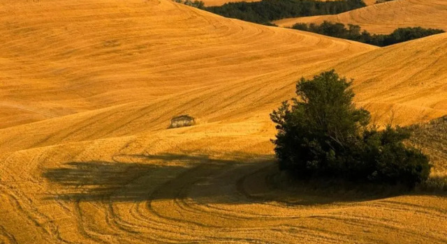 Agriturismo Villa Montaperti, Boek Villa Volterra Toscane