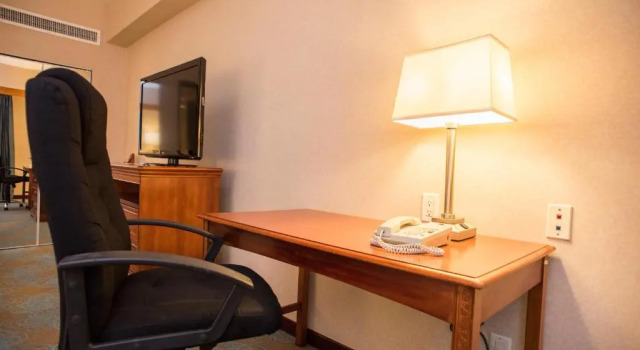 Номер Standard Holiday Inn Convention Center by IHG