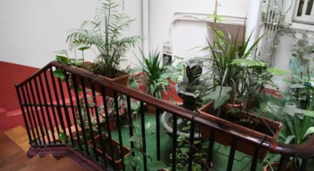 Номер Economy Central Station Hostel Barcelona