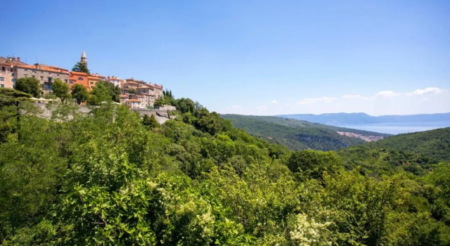 Lejlighed Studio Albona