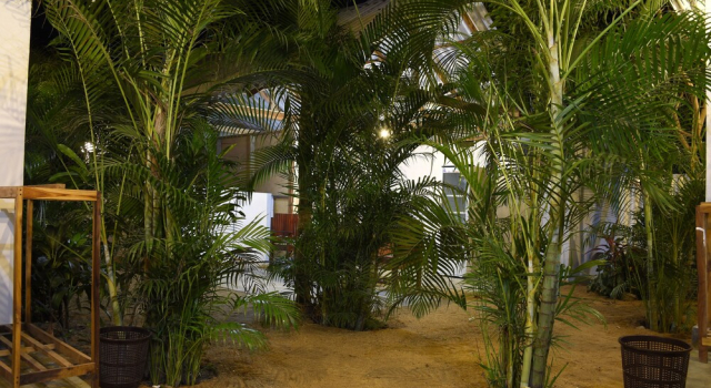 Трёхместный номер Comfort Eagle Resort Arugambay