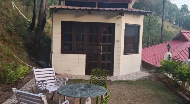 Pine Valley Resort - PVR Kasauli, Book Ferieresort Kasauli 