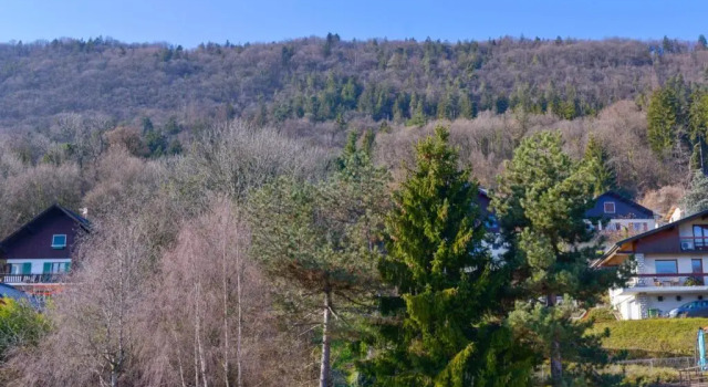 Charming studio with parking in Sevrier, along Annecy Lake - Welkeys