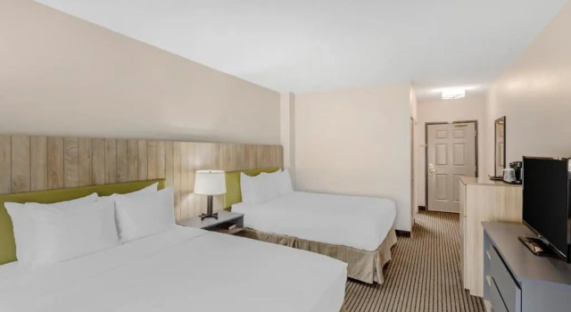 Четырёхместный номер Standard Country Inn & Suites by Radisson, Elk Grove Village-Itasca