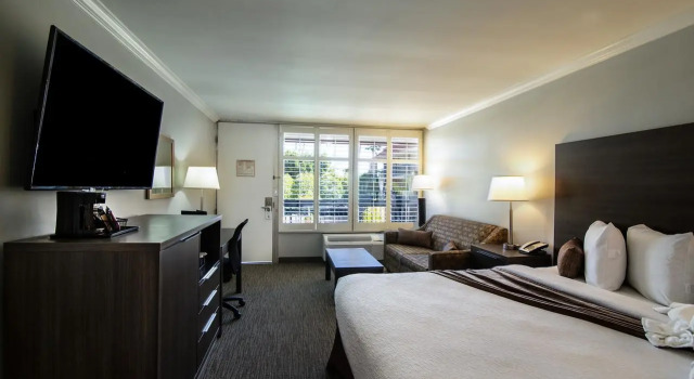 Двухместный номер Standard Palm Garden Hotel