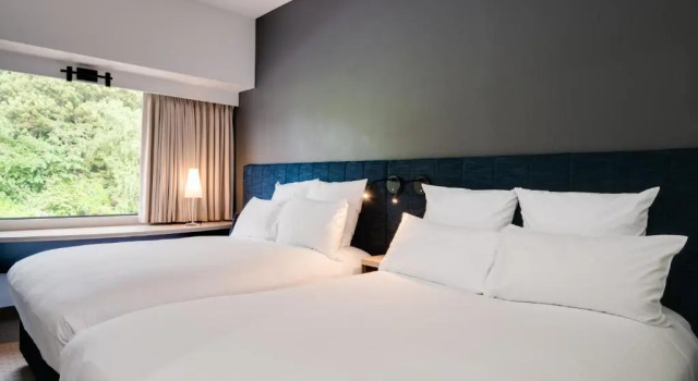 Четырёхместный номер Standard с видом на город ibis Rotorua