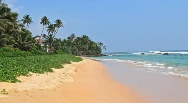 Placid Beach