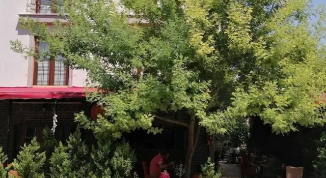 Papatya Hotel, Varaa Hotelli Hotellit Marmara-alue pysäköinnillä, Pysäköinti