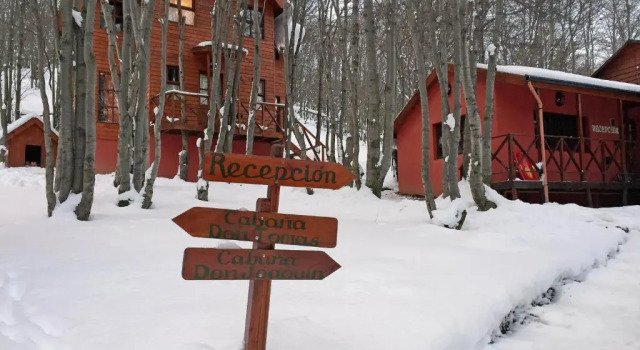 Бунгало Standard Cabañas Bosque Del Faldeo