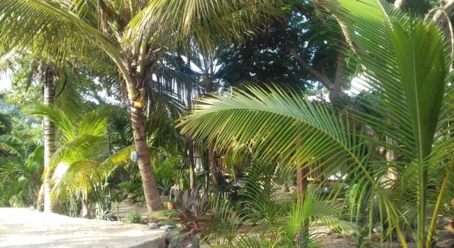 Апартаменты Zamunda Garden View