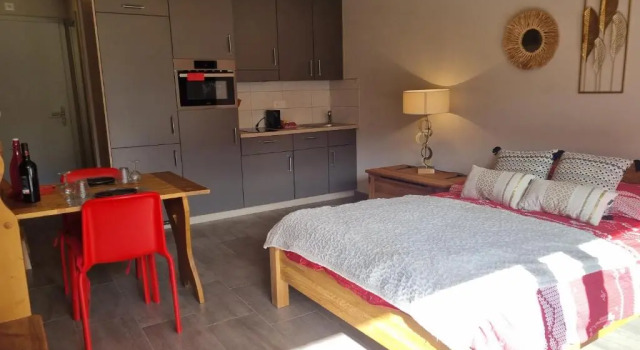 Апартаменты c 1 комнатой Magnifique studio rénové au coeur des 4 Vallées