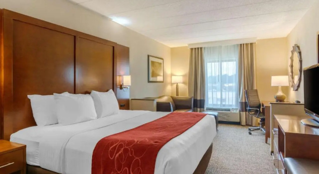 Двухместный номер Standard Comfort Suites Southpark
