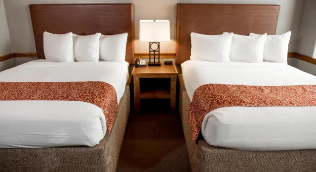 Четырёхместный номер Standard Cork Factory Hotel