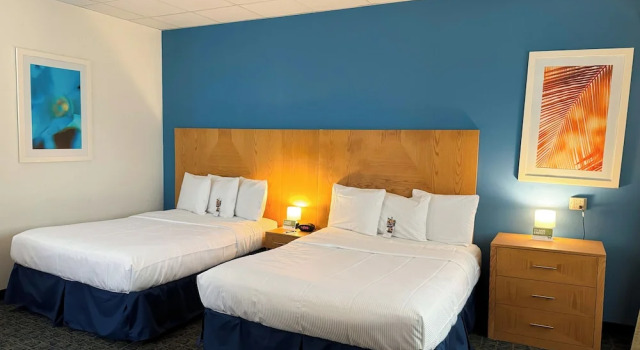 Четырёхместный номер Standard Ficus Hotel