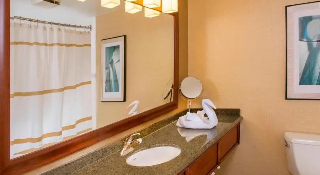 Номер Standard BWI Airport Marriott