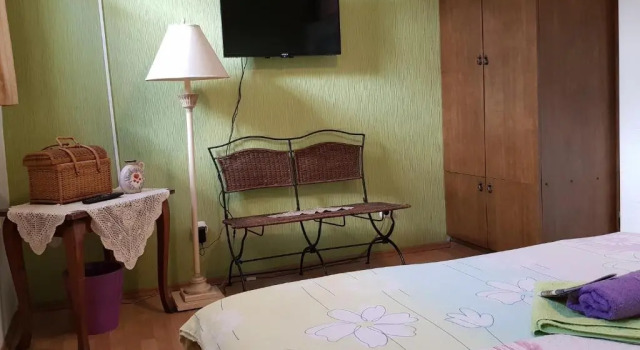 Трёхместный номер Economy Hostel Pansion Lion