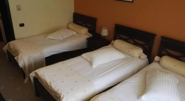 Camera Standard Bucium Motel & SPA